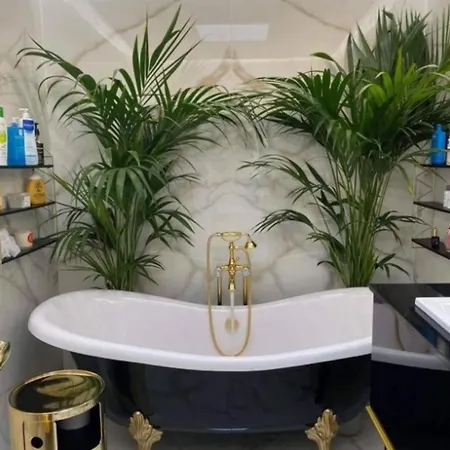 Tropical Relaxation. Luxury 度假居